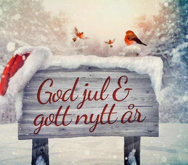 God Jul och ett Gott Nytt År!